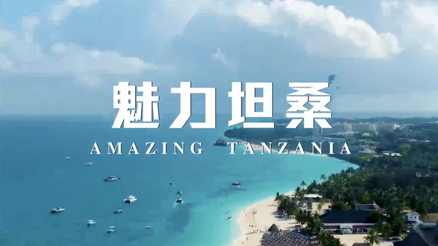 魅力坦桑（原名：与总统同行）