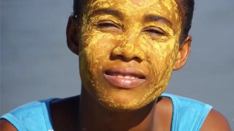 (4)马达加斯加宣传片