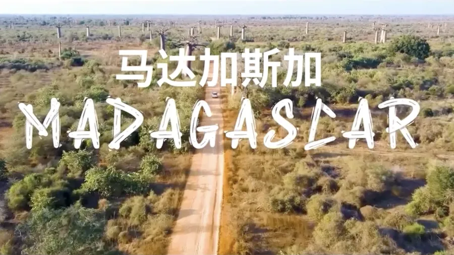 (2)马达加斯加宣传片