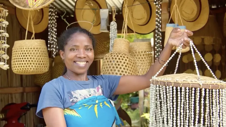 (1)马达加斯加宣传片