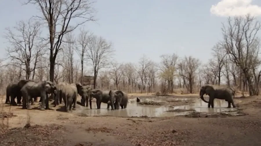 马拉维旅游局宣传片